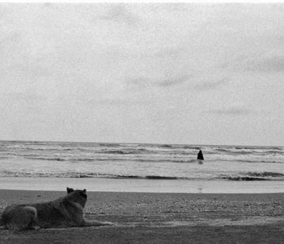Exposición fotográfica del Maestro Asghar Farhadi 1