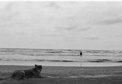 Exposición fotográfica del Maestro Asghar Farhadi 1