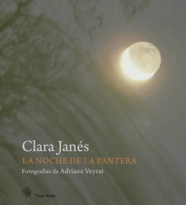 La noche de la pantera